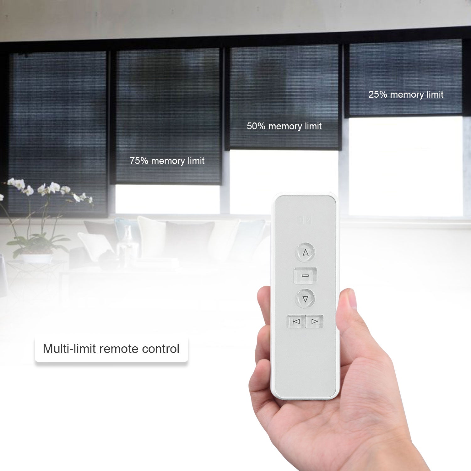 2 Channel Remote